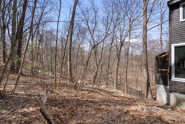 view of local wilderness