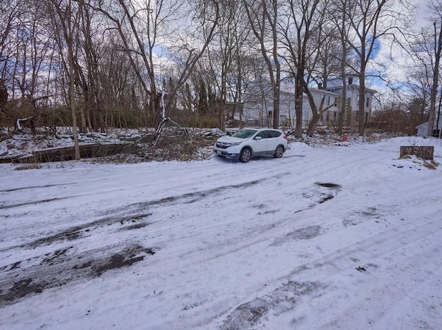 view of yard covered in snow