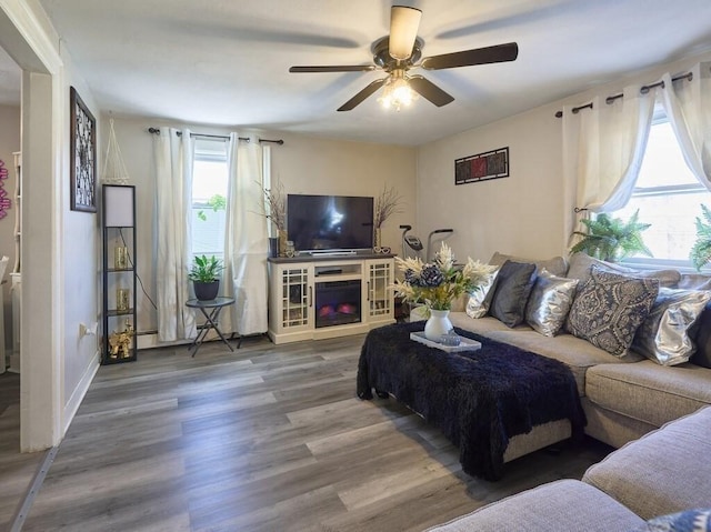 living room with hardwood / wood-style floors and ceiling fan