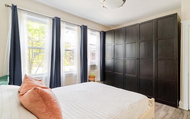 11 Sedgwick St Unit 8, Boston, MA 02130 - bedroom featuring light wood finished floors