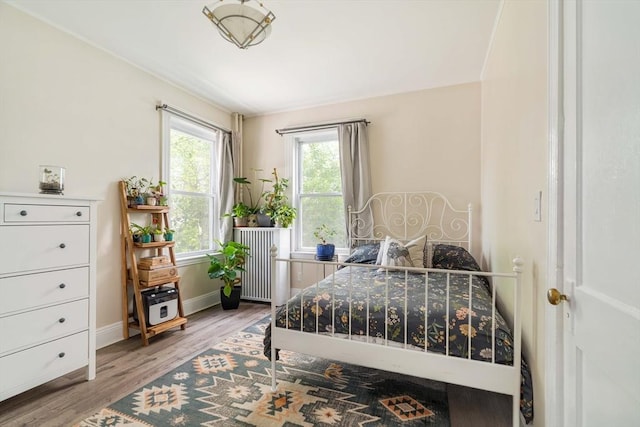 11 Sedgwick St Unit 8, Boston, MA 02130 - bedroom with radiator heating unit and wood finished floors