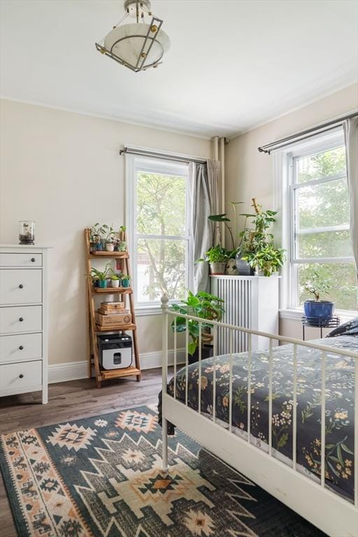 11 Sedgwick St Unit 8, Boston, MA 02130 - bedroom featuring multiple windows and wood finished floors