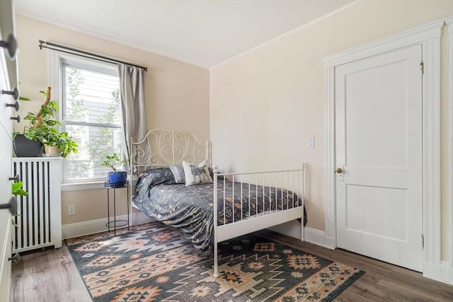 11 Sedgwick St Unit 8, Boston, MA 02130 - bedroom featuring wood finished floors and radiator