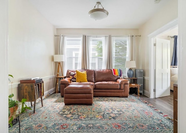 11 Sedgwick St Unit 8, Boston, MA 02130 - living room with radiator and wood finished floors