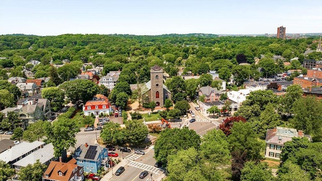 11 Sedgwick St Unit 8, Boston, MA 02130 - drone / aerial view of a forest