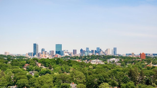 11 Sedgwick St Unit 8, Boston, MA 02130 - skyline view featuring a tree filled landscape