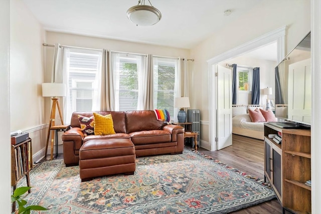 11 Sedgwick St Unit 8, Boston, MA 02130 - living area featuring wood finished floors and radiator