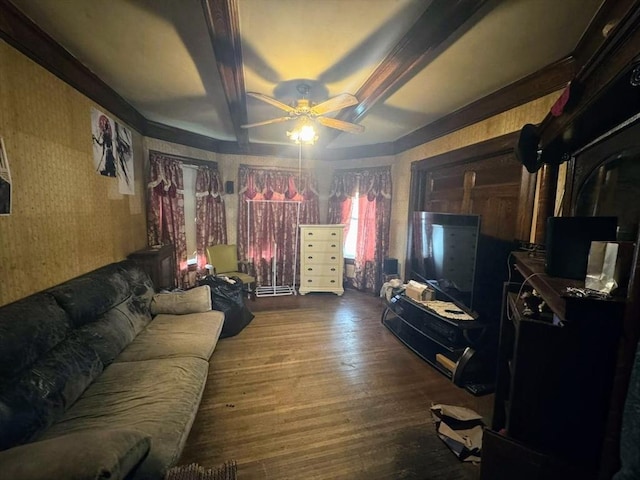 81 High St, West Springfield, MA 01089 - living room featuring ceiling fan, wood finished floors, and wallpapered walls