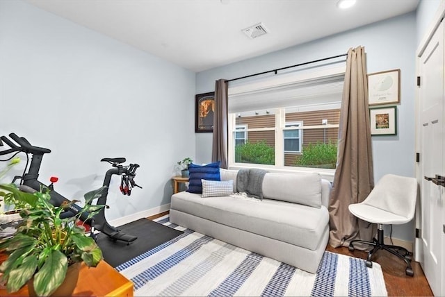 sitting room featuring wood-type flooring