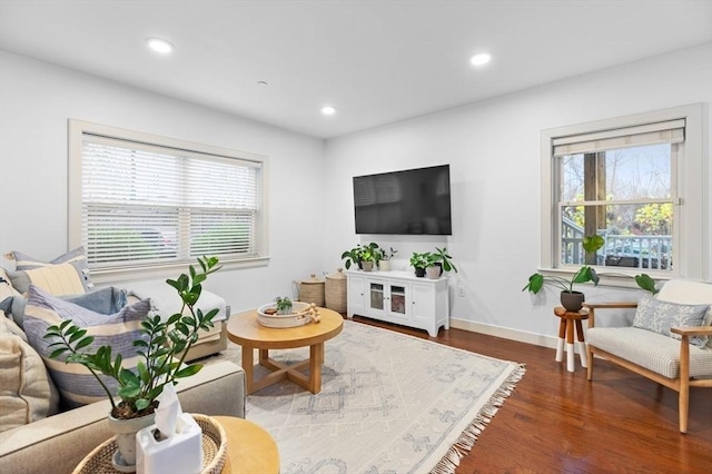 living room with a wealth of natural light and wood-type flooring