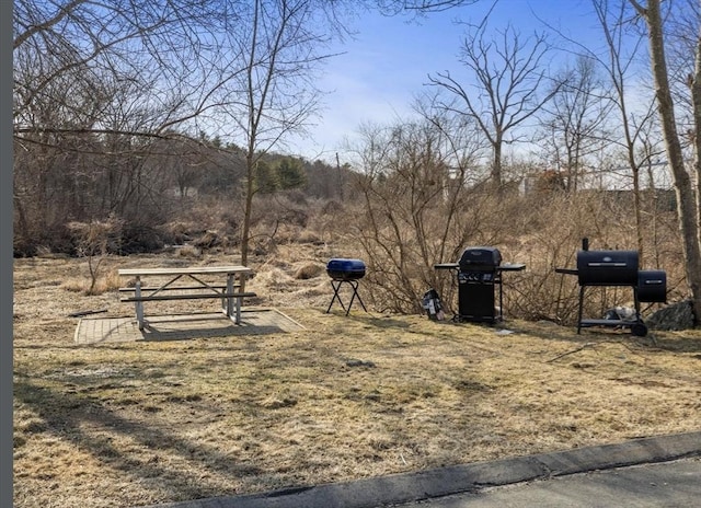 48 Great Rd Unit 16, Acton, MA 01720 - view of yard
