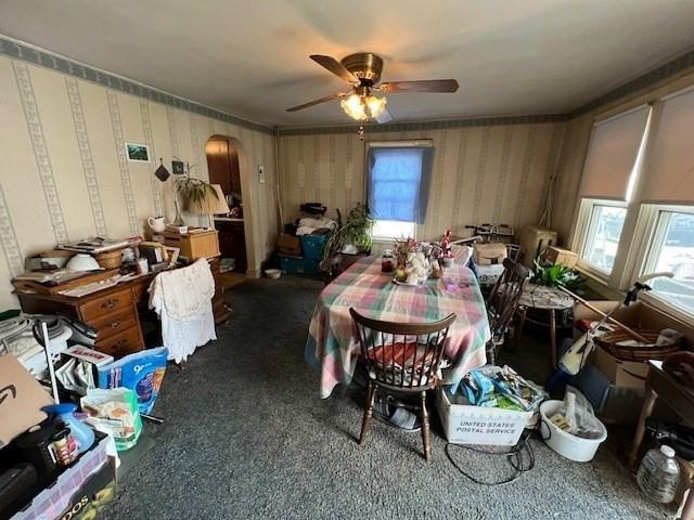 59 Eddy St, Springfield, MA 01104 - dining room with wallpapered walls, arched walkways, ceiling fan, and carpet flooring