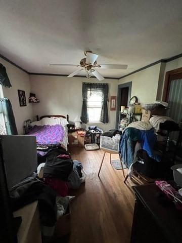 59 Eddy St, Springfield, MA 01104 - bedroom featuring wood finished floors, ornamental molding, and ceiling fan