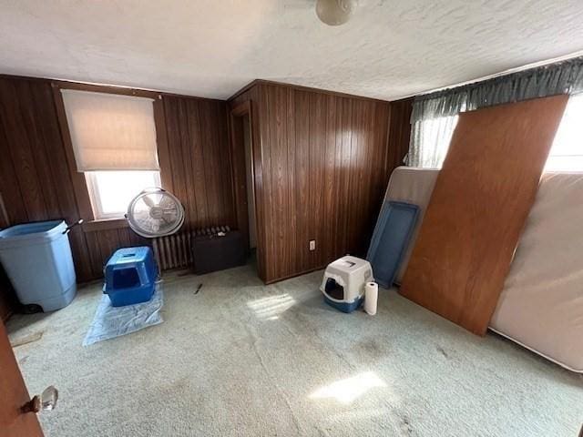 59 Eddy St, Springfield, MA 01104 - unfurnished bedroom with multiple windows, light carpet, and wood walls