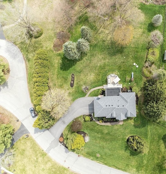 bird's eye view