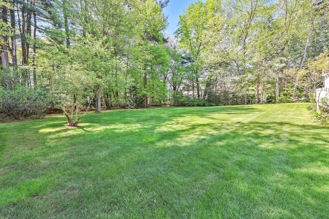 20 Ericka Cir, East Longmeadow, MA 01028 - view of green lawn