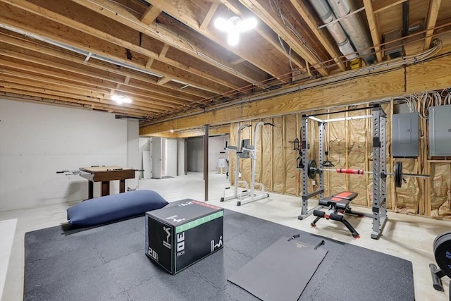 20 Ericka Cir, East Longmeadow, MA 01028 - exercise area with electric panel