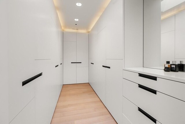 55 Fayerweather St, Cambridge, MA 02138 - hall with light wood-type flooring and recessed lighting