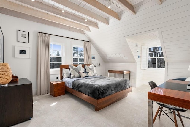 55 Fayerweather St, Cambridge, MA 02138 - bedroom featuring wood walls, rail lighting, vaulted ceiling with beams, and carpet floors