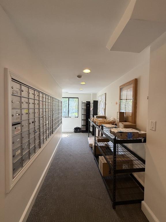 30 Revere Beach Pkwy Unit 116, Medford, MA 02155 - hallway featuring baseboards, carpet floors, mail area, and recessed lighting