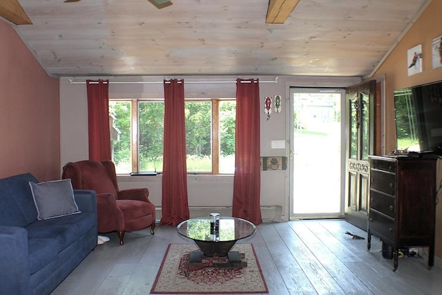 155 Old Palmer Rd, Brimfield, MA 01010 - living area featuring lofted ceiling, wood ceiling, and light wood-type flooring