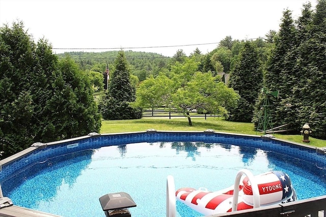 155 Old Palmer Rd, Brimfield, MA 01010 - swimming pool with a view of trees