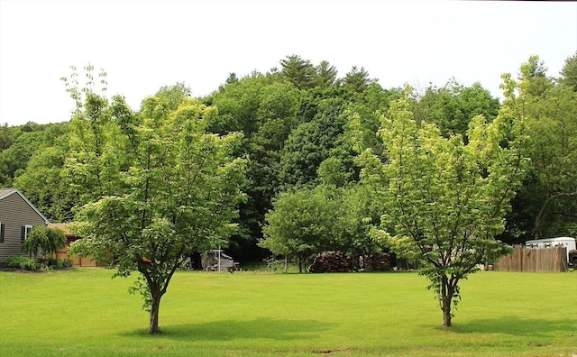 155 Old Palmer Rd, Brimfield, MA 01010 - view of yard