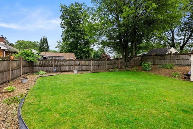 97 Connecticut Ave, Springfield, MA 01104 - view of fenced backyard