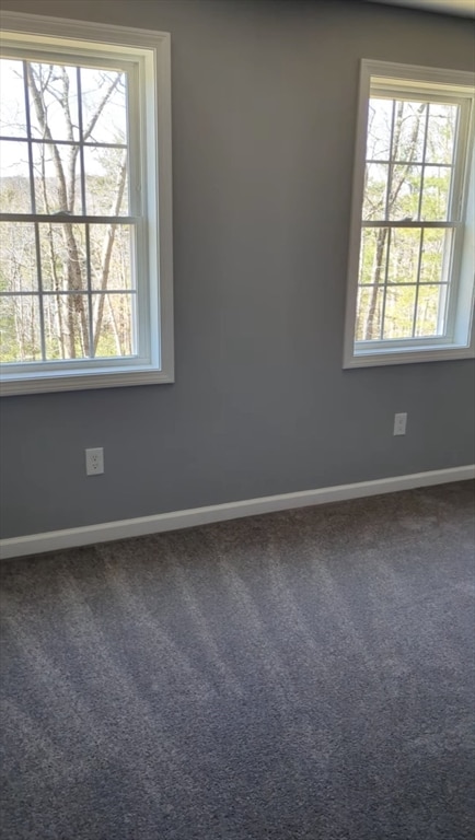 unfurnished room with carpet