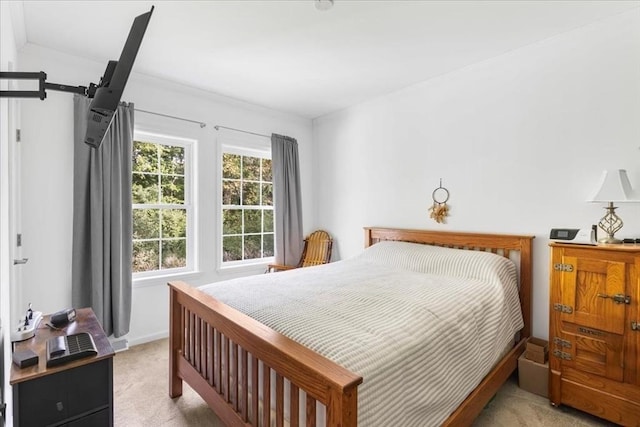 23 Brookstone Unit 23, Bridgewater, MA 02324 - bedroom featuring light colored carpet