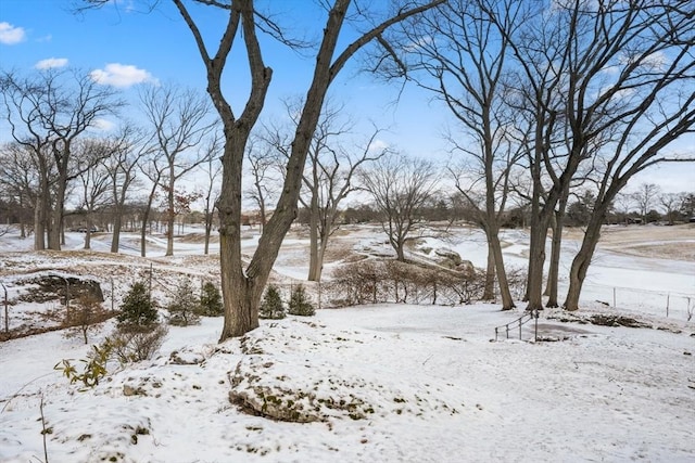 snowy yard with fence