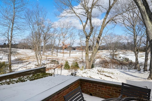 view of snowy yard