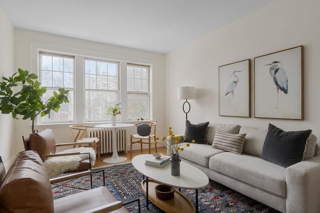 living area featuring a healthy amount of sunlight and radiator heating unit