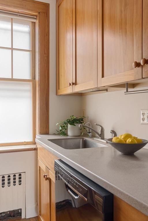 kitchen featuring a sink, light countertops, and dishwasher