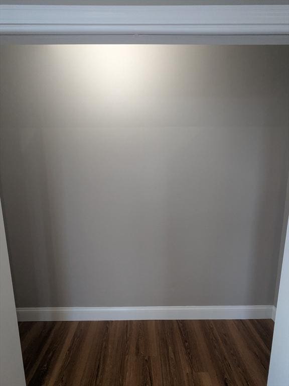 13 Nahant St Unit 3A, Lynn, MA 01902 - view of closet