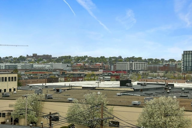 127 Beacon St, Chelsea, MA 02150 - property's view of city