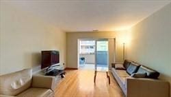 living room with light hardwood / wood-style flooring