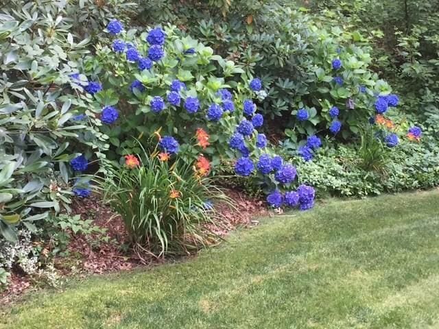 53 Wingfoot Dr, Barnstable, MA 02675 - view of green lawn