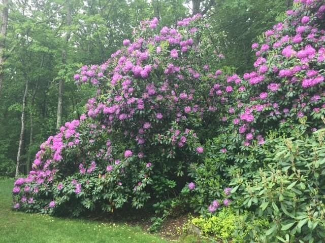 53 Wingfoot Dr, Barnstable, MA 02675 - exterior view