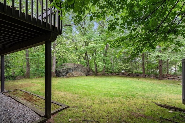 204 Allandale Rd Unit A, Boston, MA 02467 - view of grassy yard