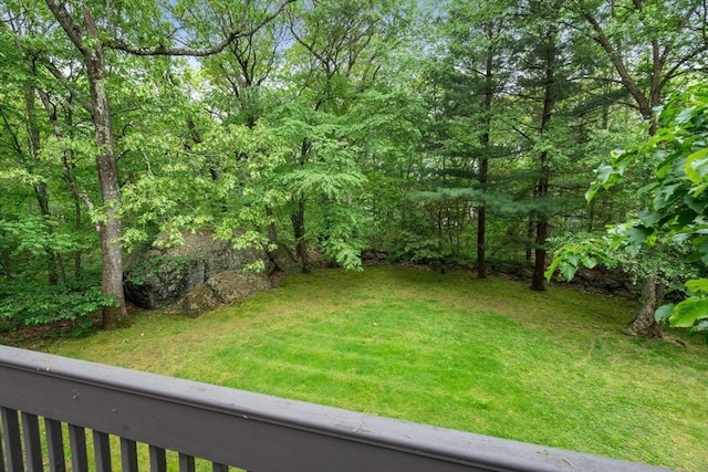 204 Allandale Rd Unit A, Boston, MA 02467 - view of green lawn with a forest view