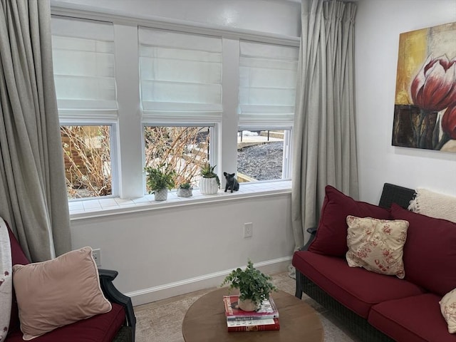 living area featuring a wealth of natural light and baseboards