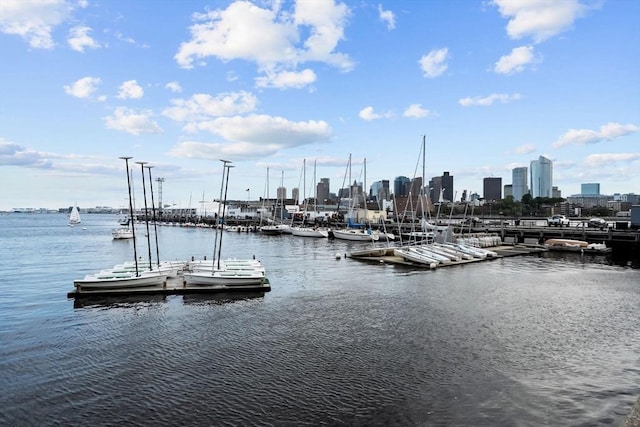 42 8th St Unit 4106, Boston, MA 02129 - dock area with a water view and a view of skyline