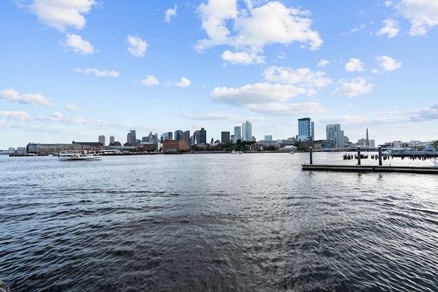 42 8th St Unit 4106, Boston, MA 02129 - water view featuring skyline and a dock
