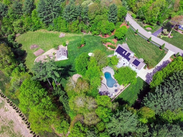 aerial view of a pool area