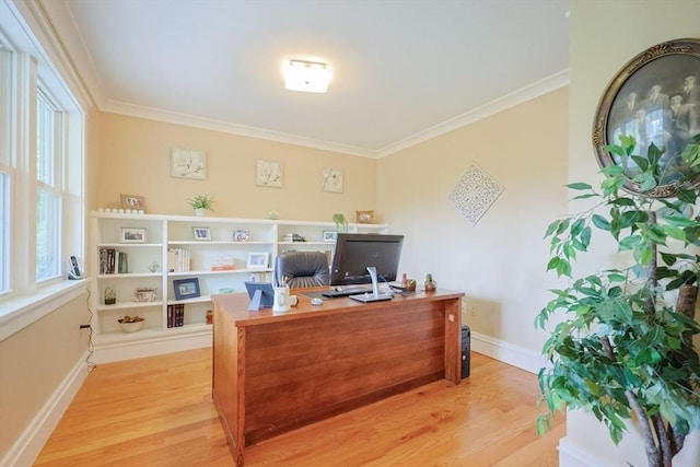 185 Read St, Seekonk, MA 02771 - office featuring light wood-type flooring, ornamental molding, and baseboards