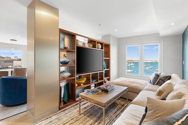 living area with wood finished floors and recessed lighting