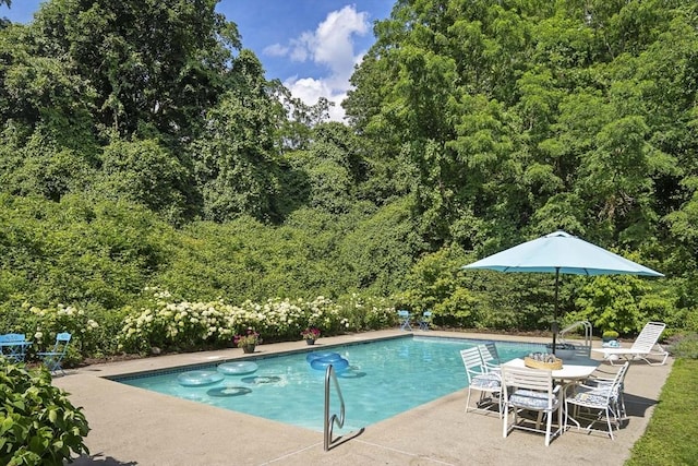 44 Ripley Hill Rd, Concord, MA 01742 - outdoor pool with a patio and a forest view