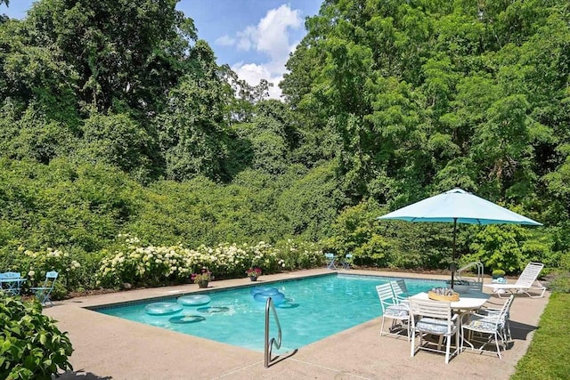 44 Ripley Hill Rd, Concord, MA 01742 - outdoor pool featuring a patio area and a wooded view