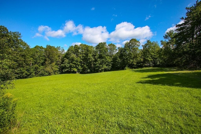 view of yard with a forest view